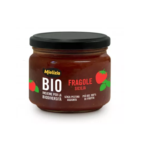 COMPOSTA  DI FRAGOLE - BIO