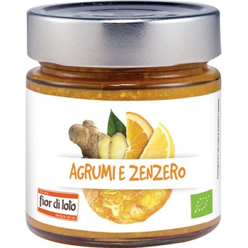 COMPOSTA DI AGRUMI E ZENZERO - BIO